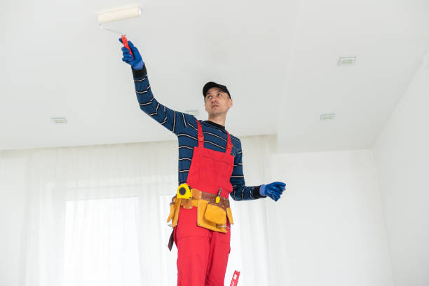  Lambertville, NJ Mold Removal Pros